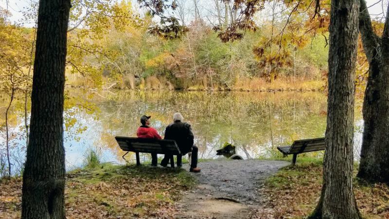 Friends sit on a bench at the water's edge