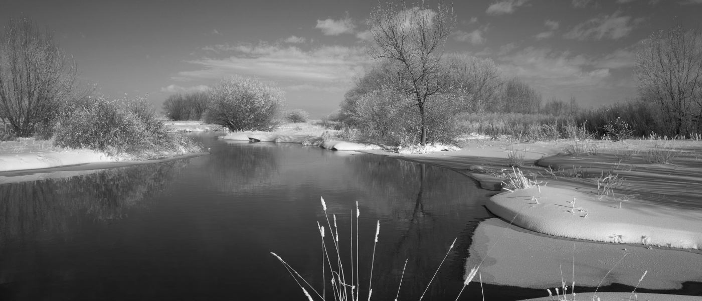 Winter Scene