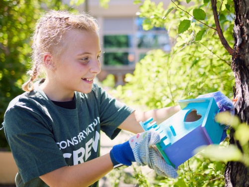 Student hangs birdhouse in tree