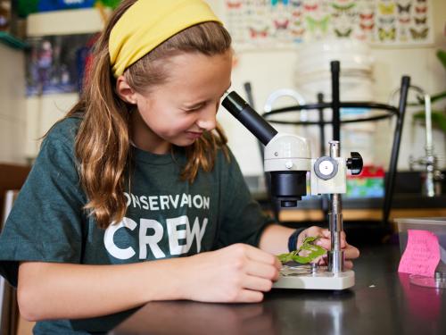 Student views caterpillar through microscope