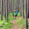 group of kids hikes in forest