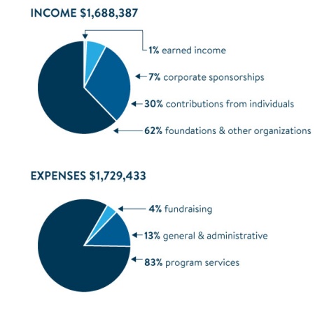 income-expenses-piecharts