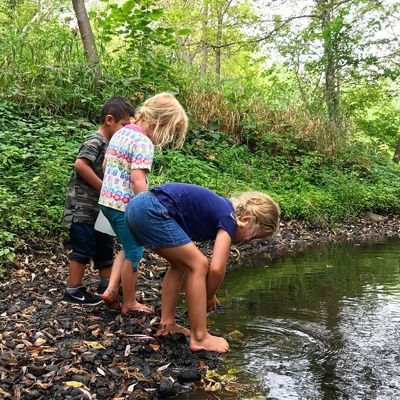 Kids explore at water's edge