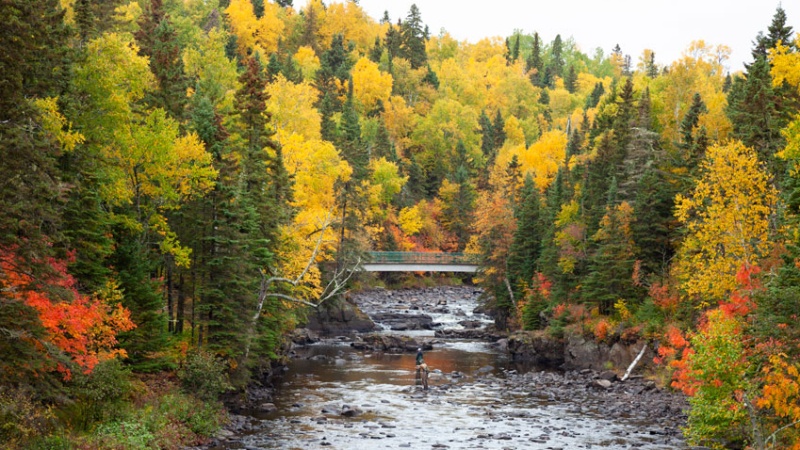 Two people stand in river while fly fishing