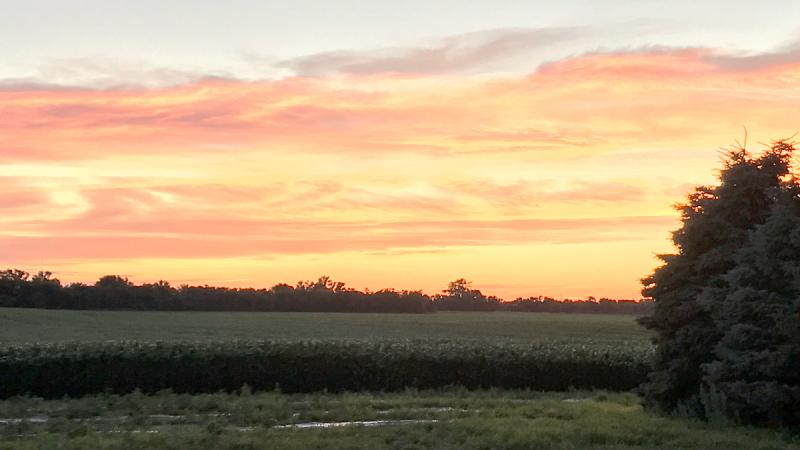 Sunset over a farm field