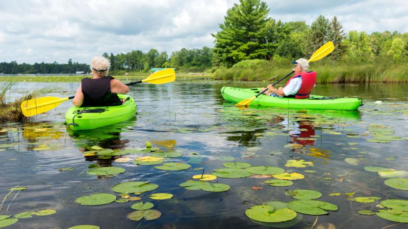 two people kayaking on a lake in summer