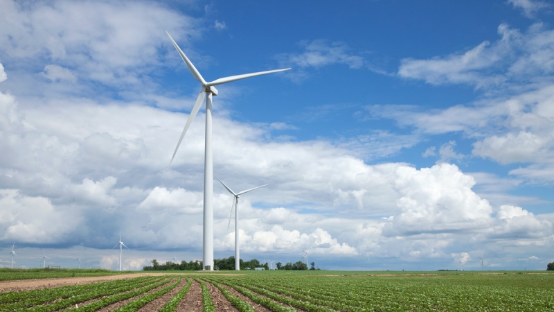 wind turbine in a soybean field