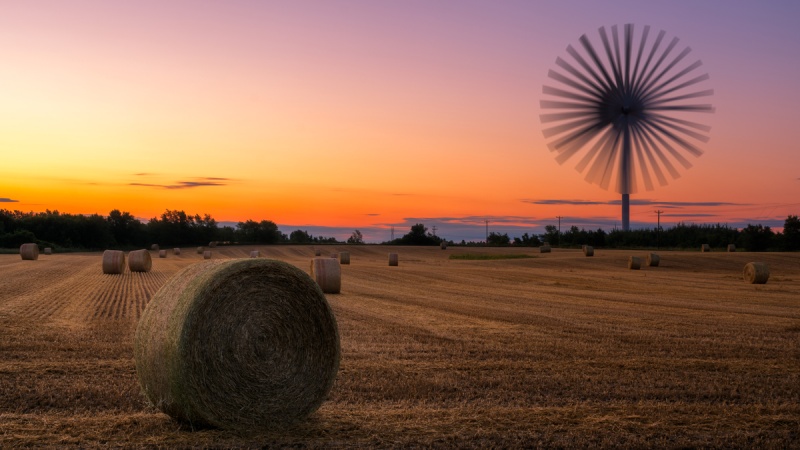 wind turbine in a field at sunset