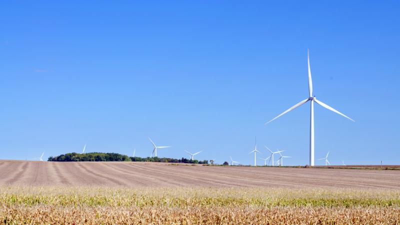 Wind turbines in a Minnesota field