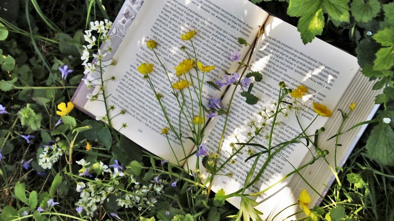 book with flowers