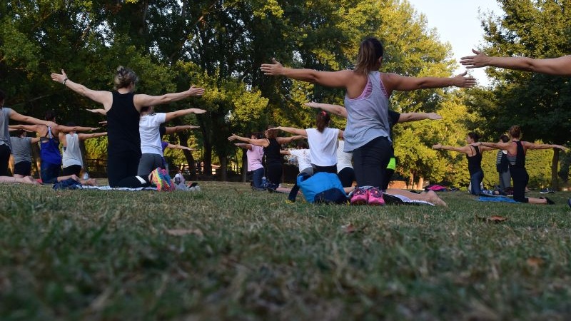 group of people practicing yoga in a park