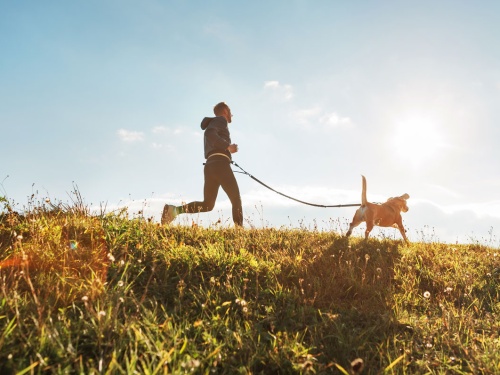 man runs with dog in sunshine