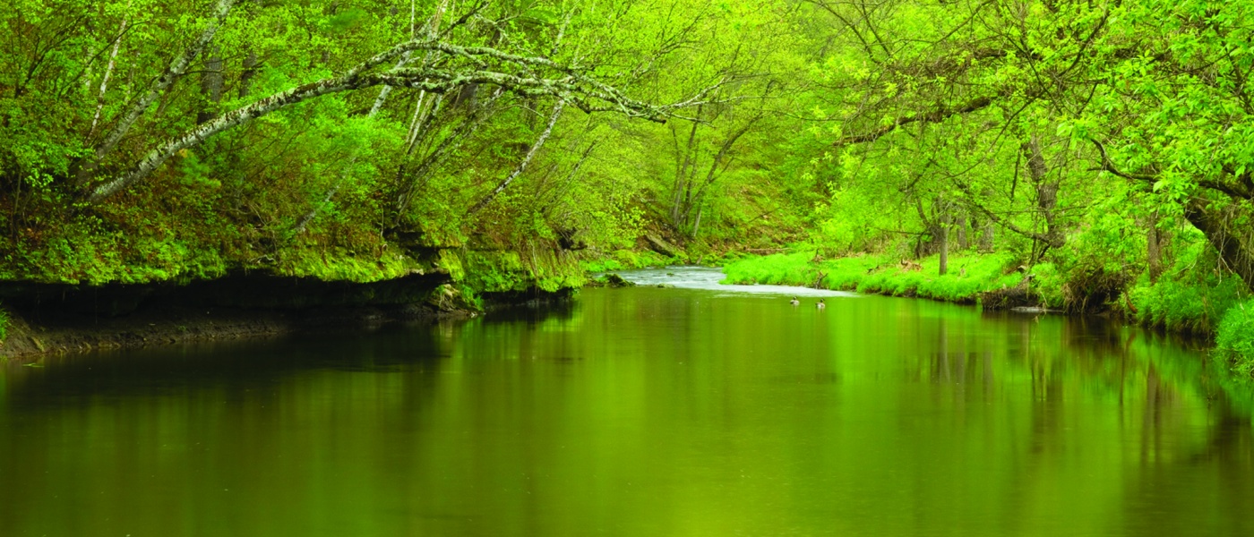 Spring Water