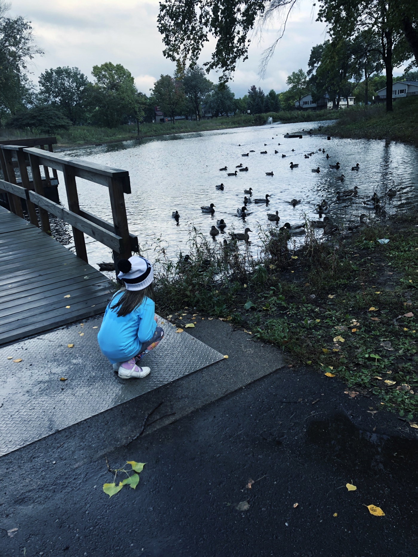 Brooklyn Park Ducks