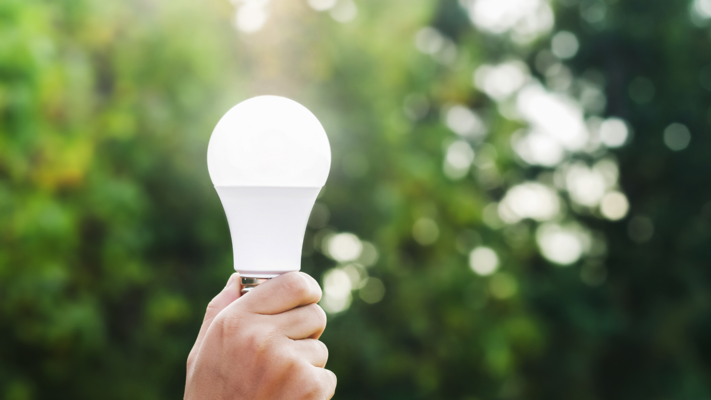 Hand holding LED light bulb