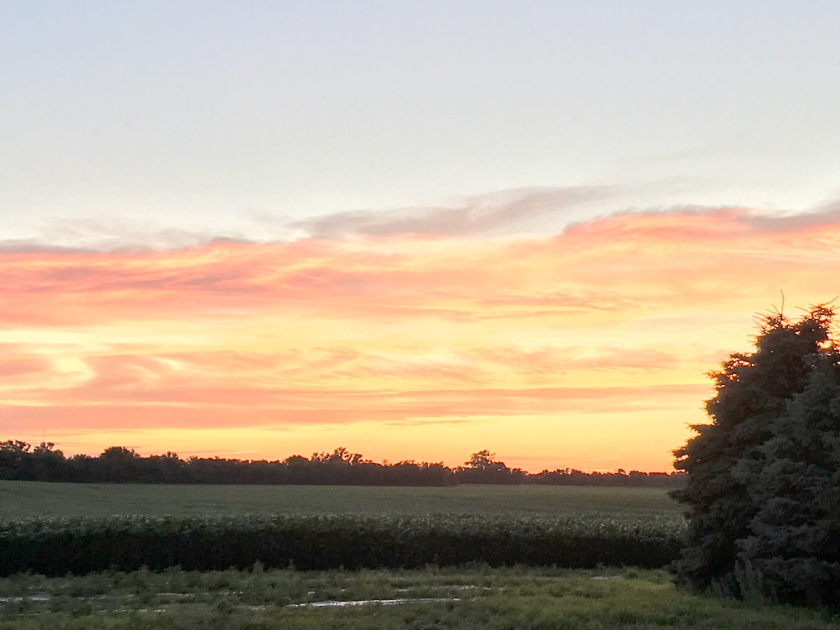 Sunset over a farm field