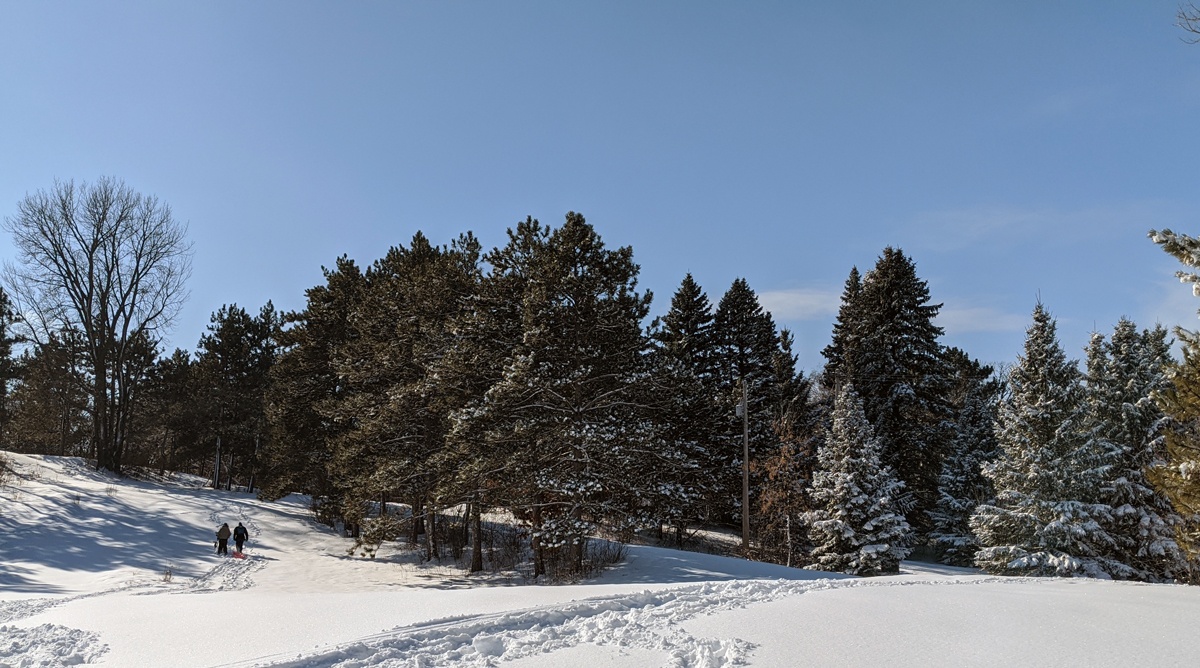 Two people walk on snowy paths through wooded park