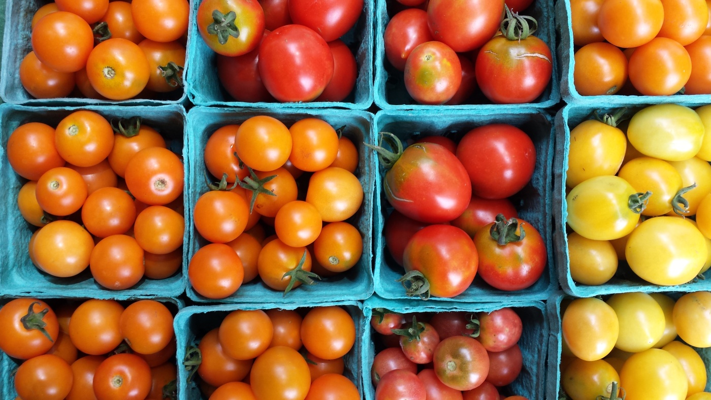 Tomatoes for sale