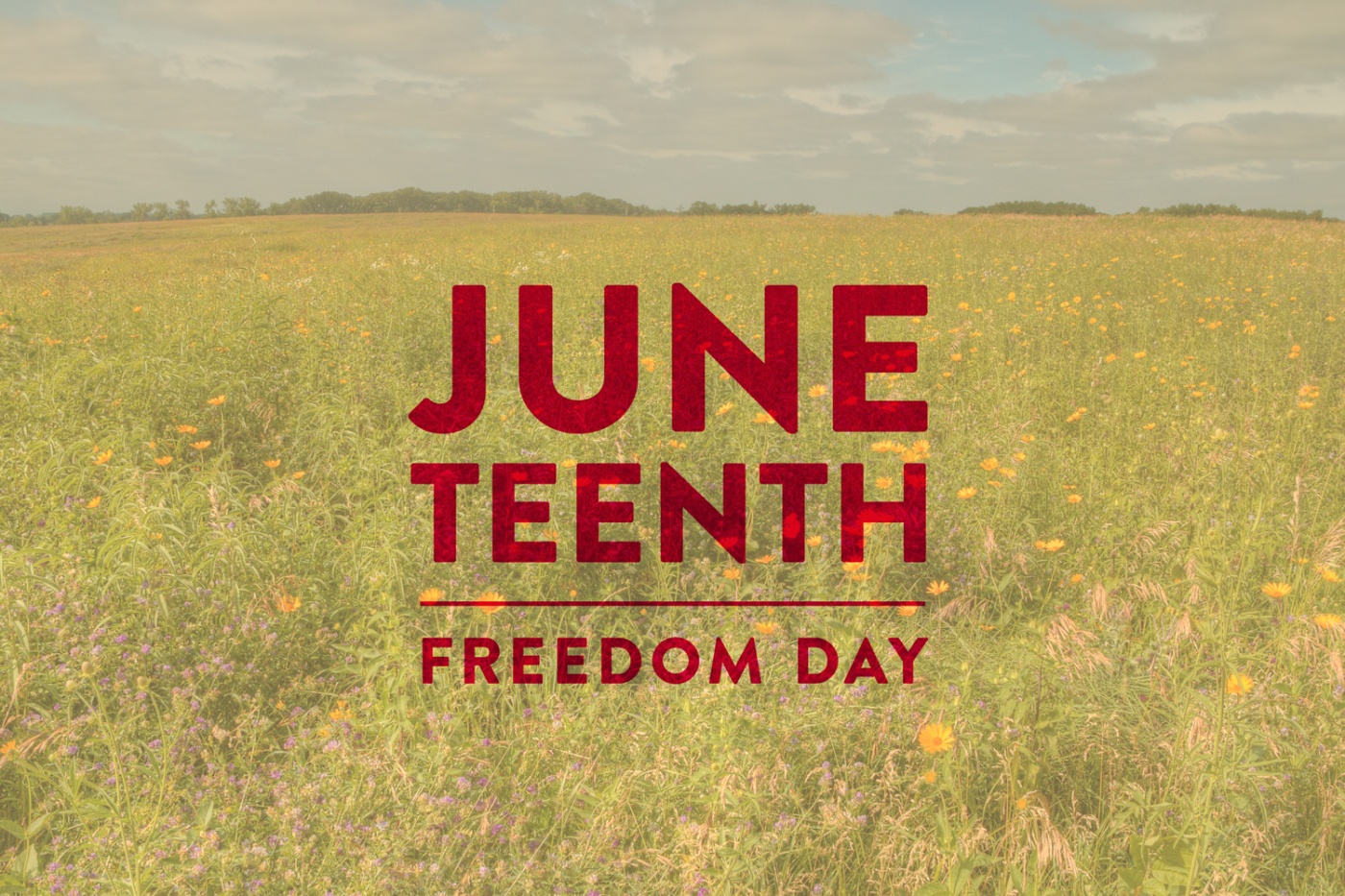 Juneteenth Freedom Day