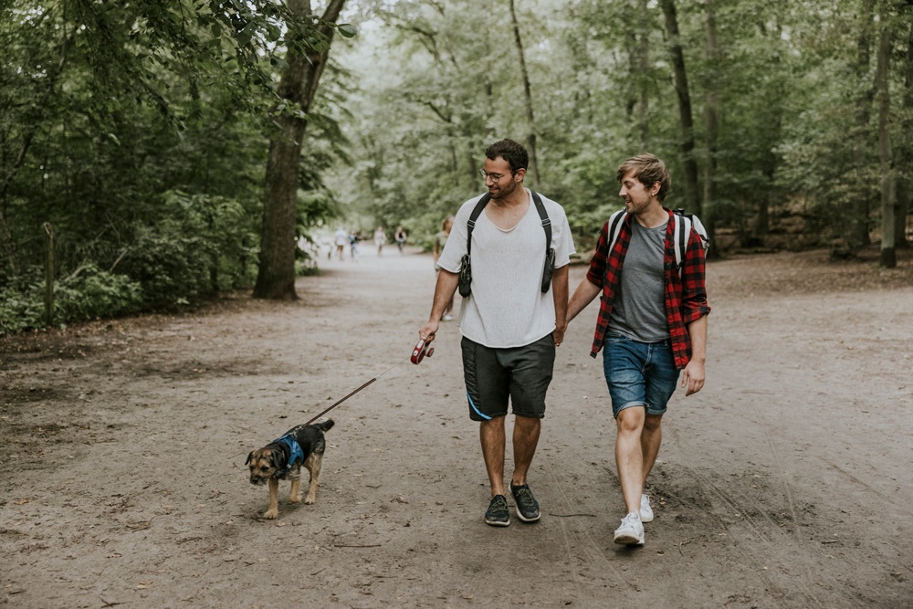 two people hike with dog in summer