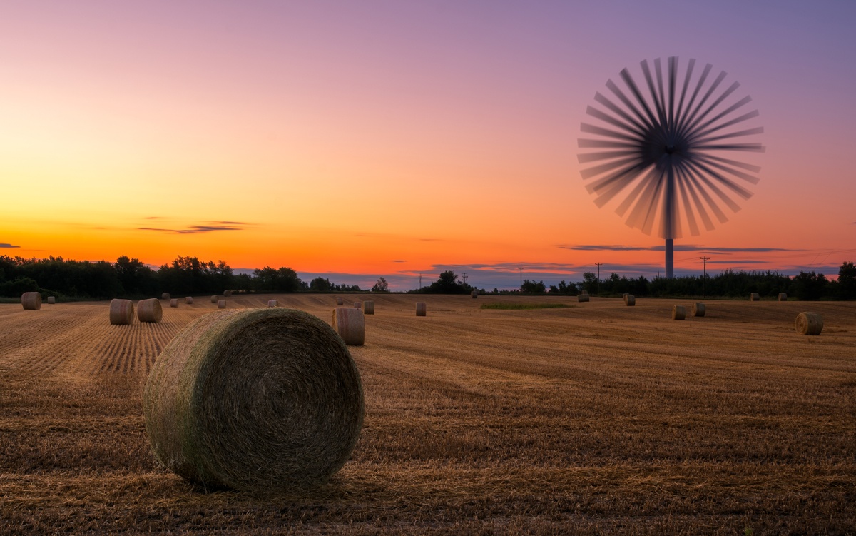 wind turbine in a field at sunset