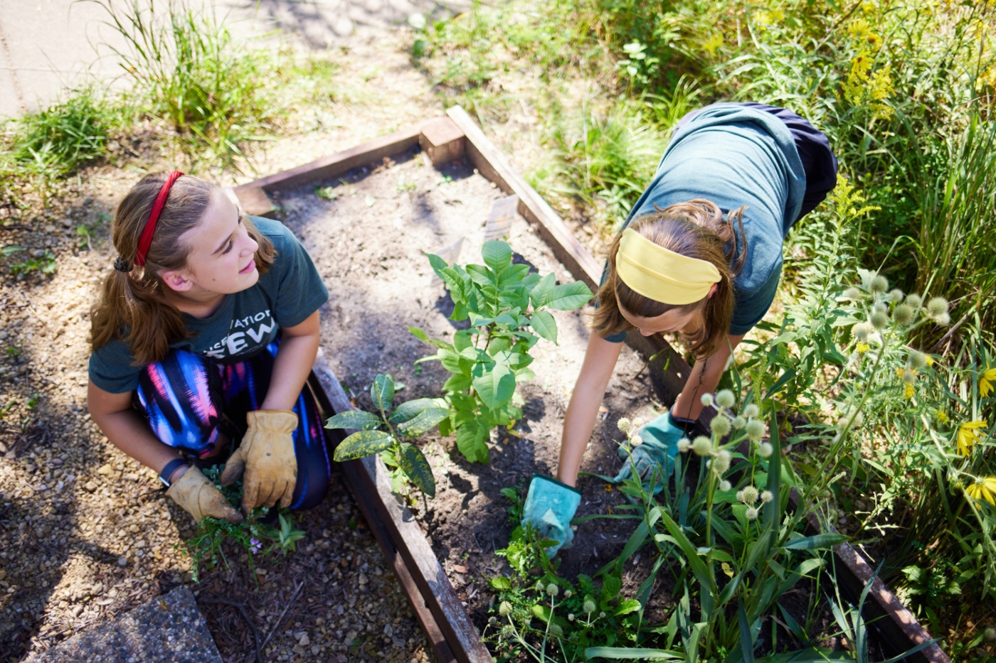 Middle school students gardening