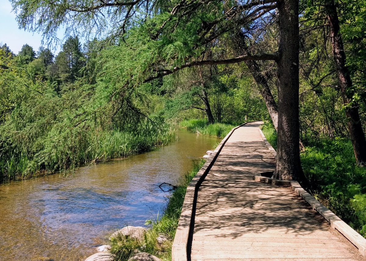 The Mississippi River Headwaters at Itasca State Park