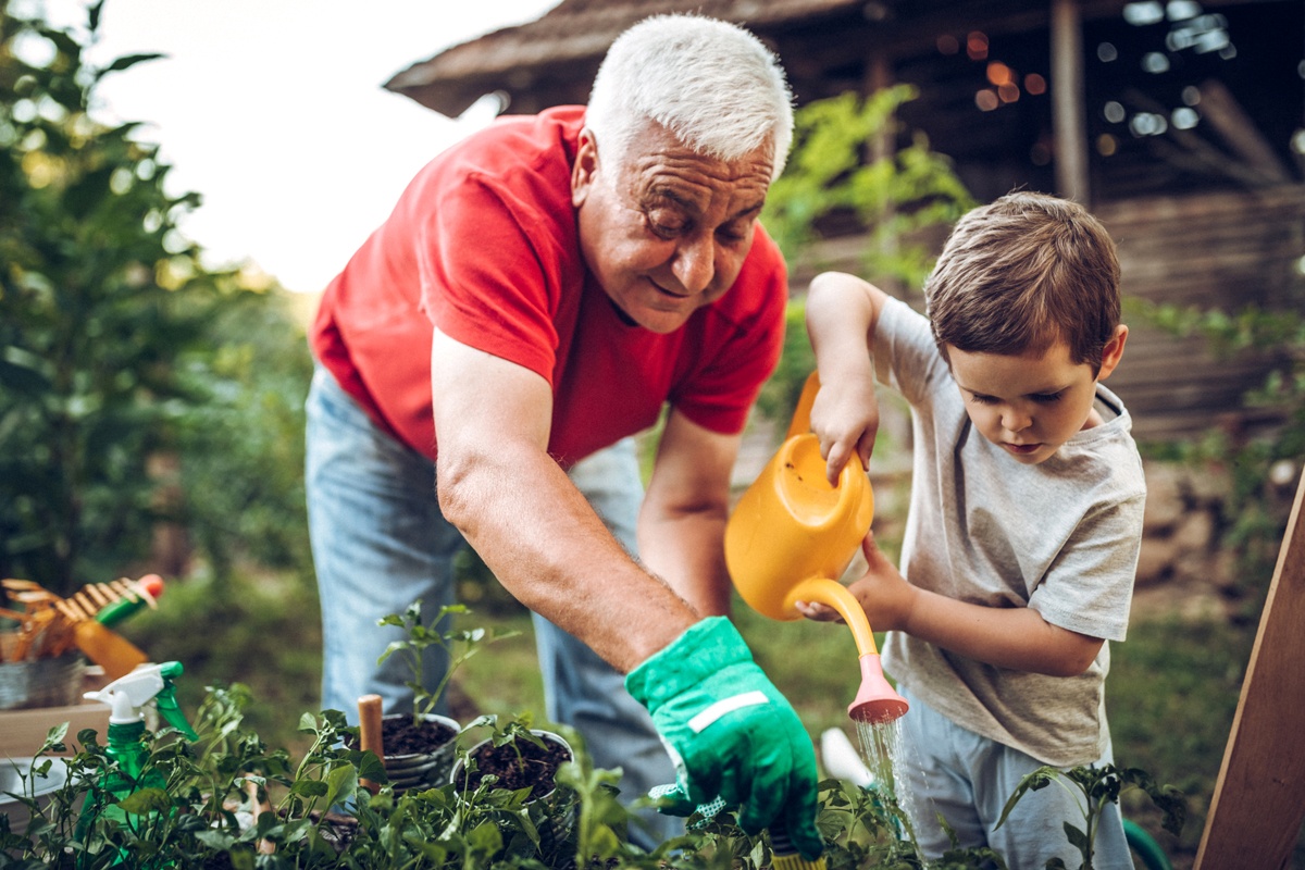 Grandparent gardens with child