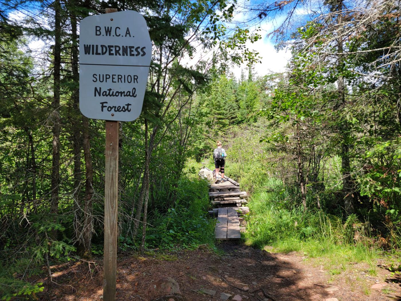 Hiker walks on path near BWCA Wilderness Superior Hiking Trail sign