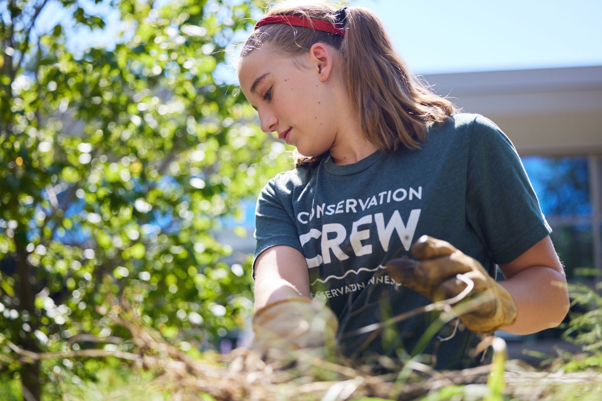 Growing Conservation Crew Conservation MN