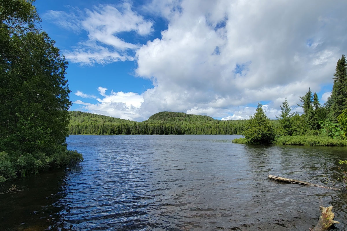 lake in the foreground mountain in the distance