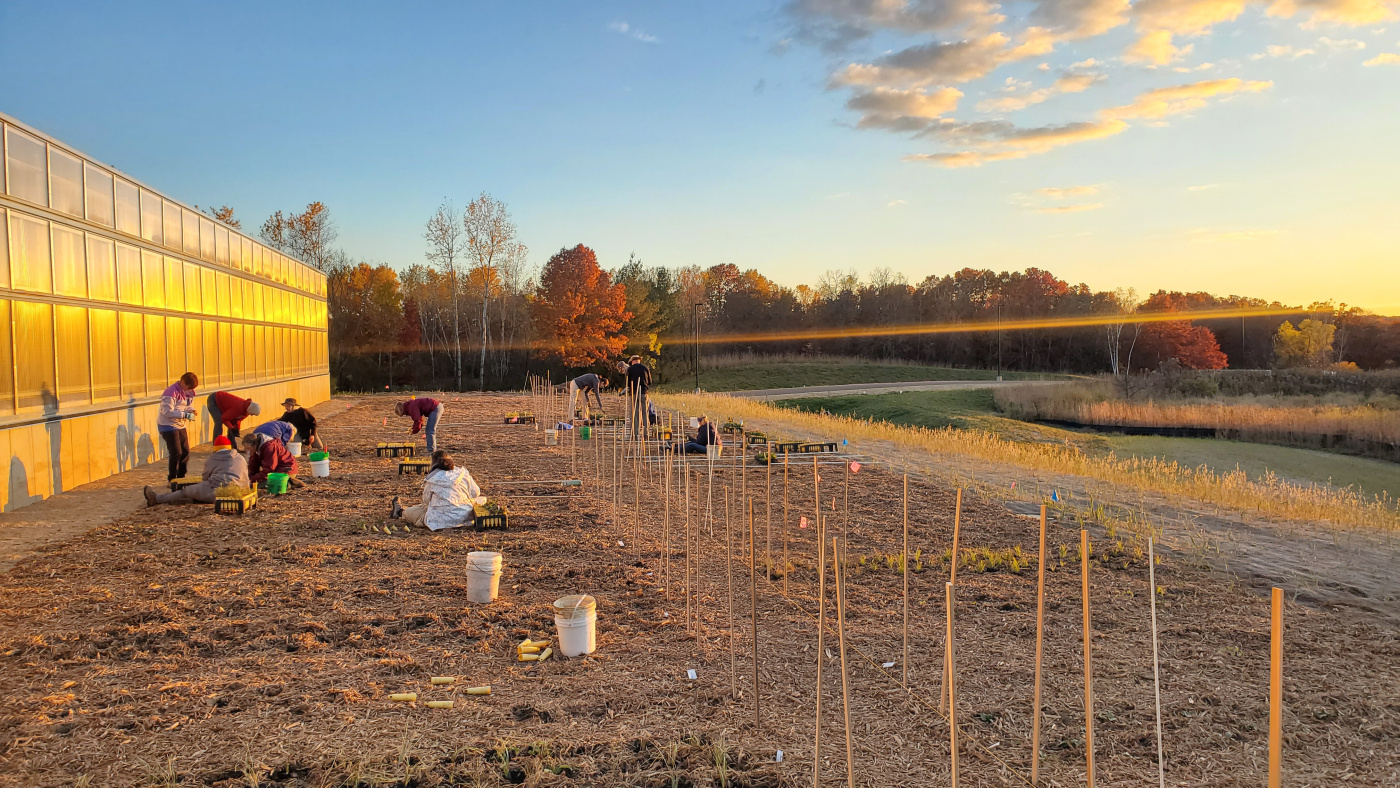 native crop planting outside a greenhouse