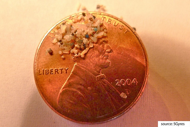 Microbeads on Penny