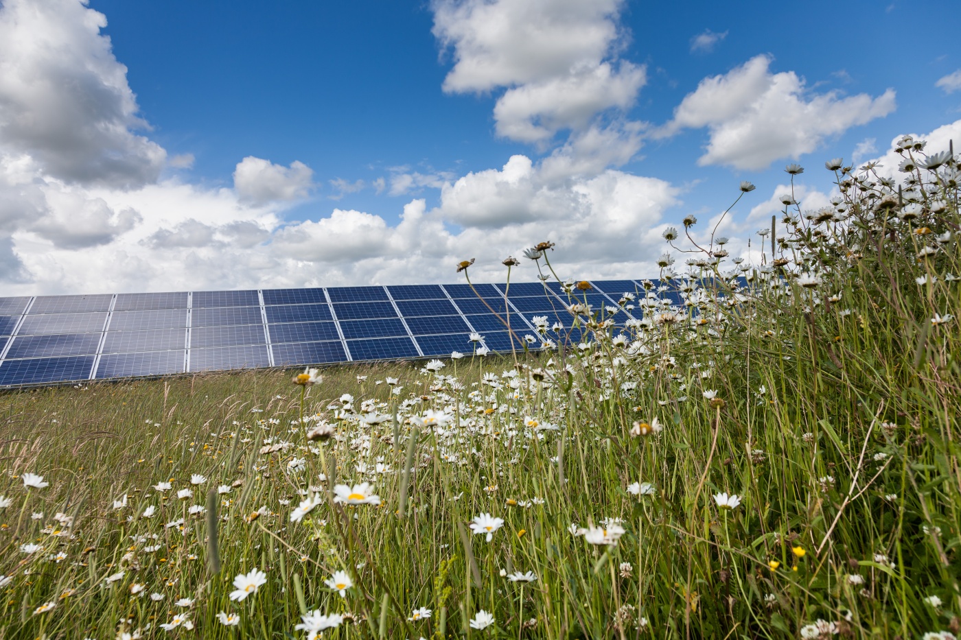 Westmill Solar and Wind Farm