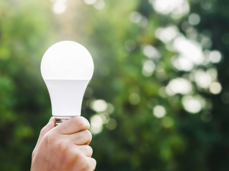 Hand holding LED light bulb