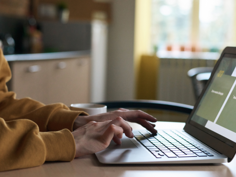 Person working on their laptop