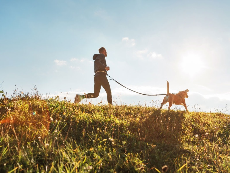 man runs with dog in sunshine