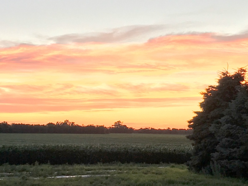 Sunset over a farm field