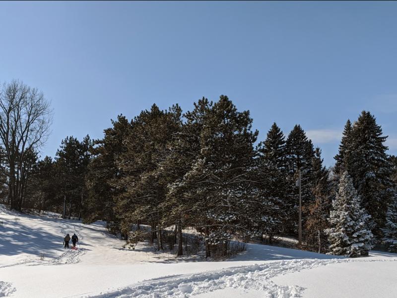 Two people walk on snowy paths through wooded park