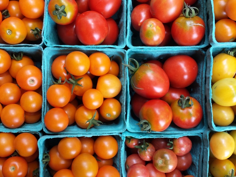 Tomatoes for sale