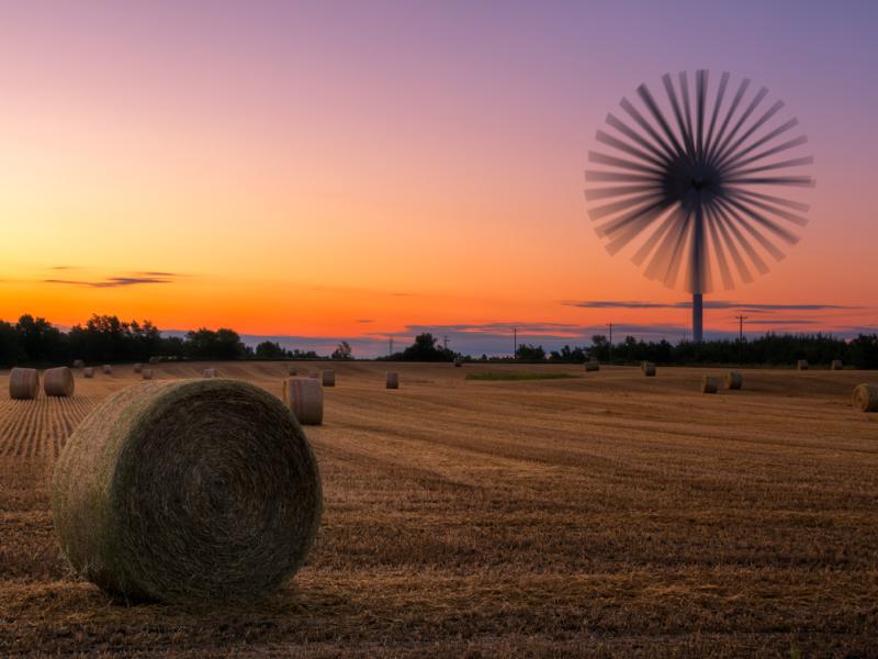 wind turbine in a field at sunset