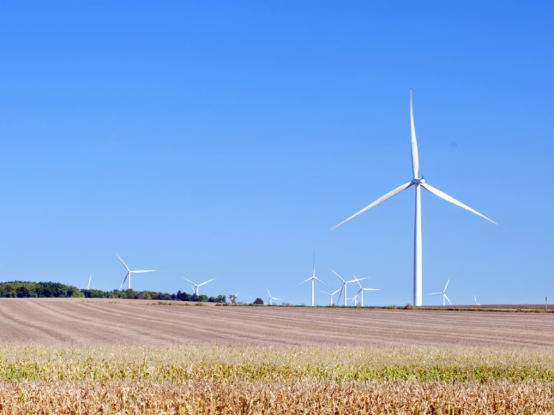 Wind turbines in a Minnesota field