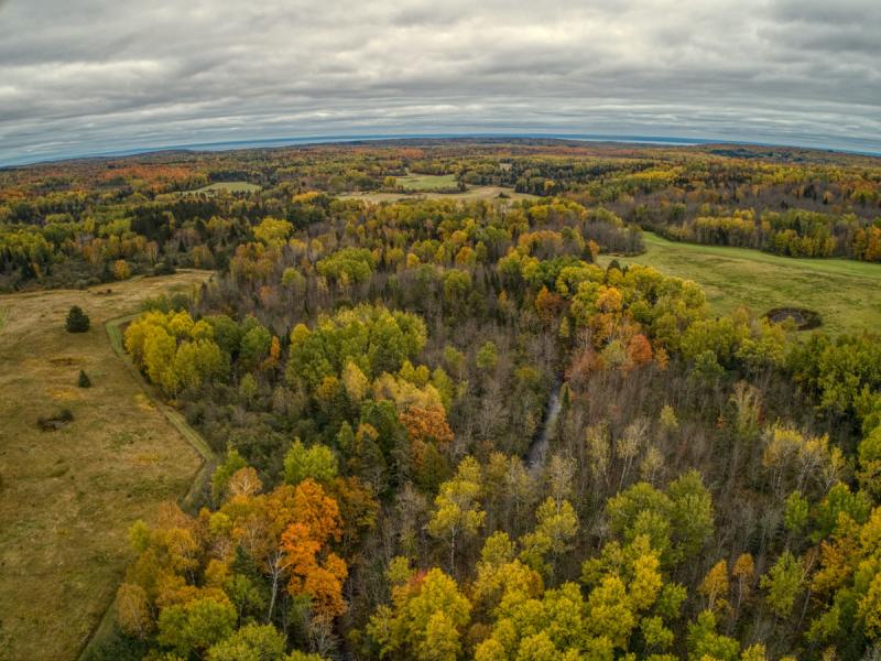 Aerial view of wooded area in autumn