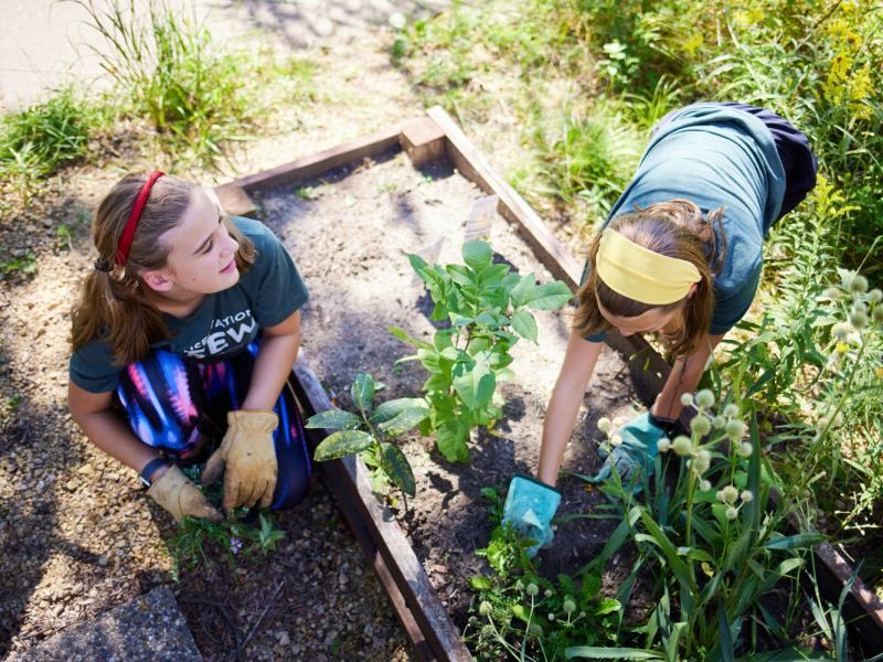 Middle school students gardening