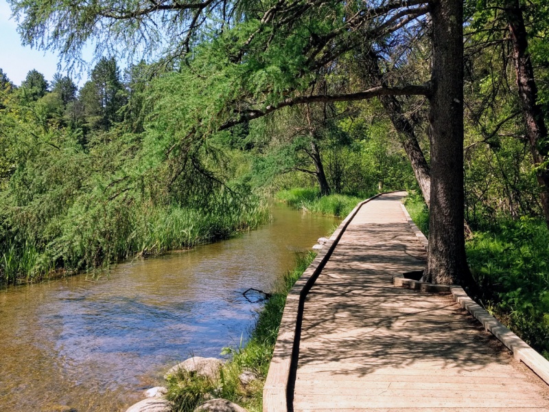 The Mississippi River Headwaters at Itasca State Park