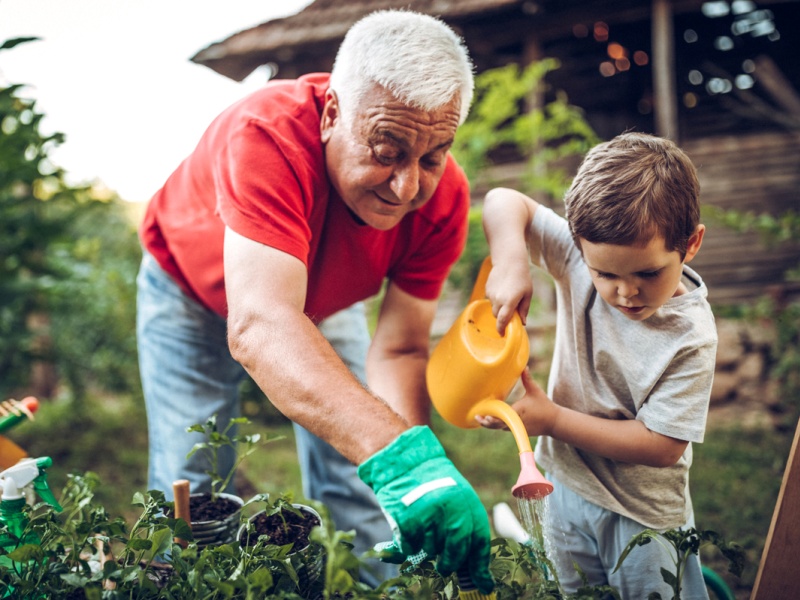 Grandparent gardens with child