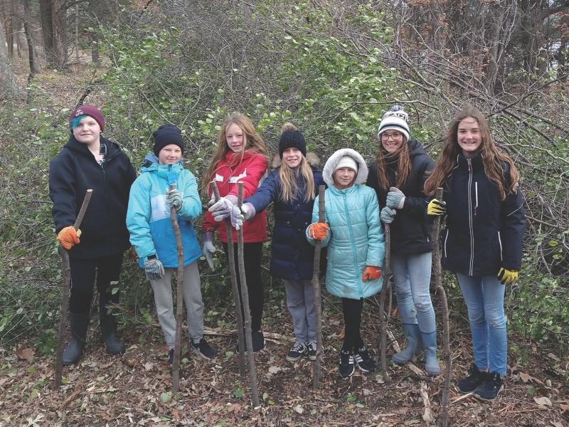 CC Students work on a buckthorn removal project