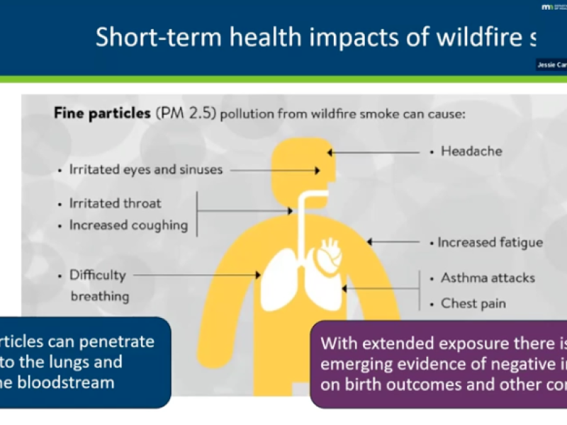 short term health impacts of wildfire slide