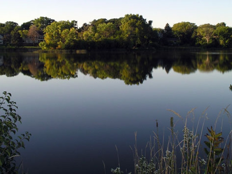 Cornelia-lake-web.jpg