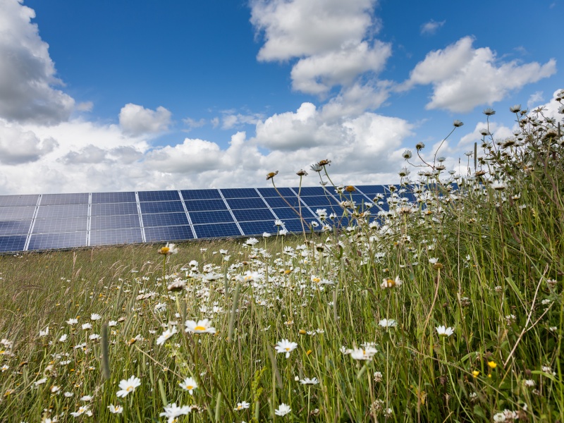 Westmill Solar and Wind Farm